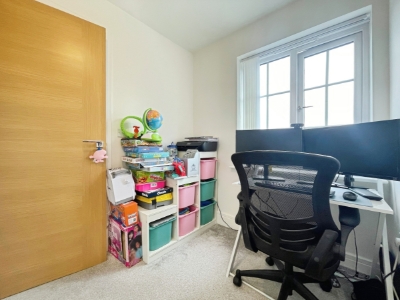 Picture 15